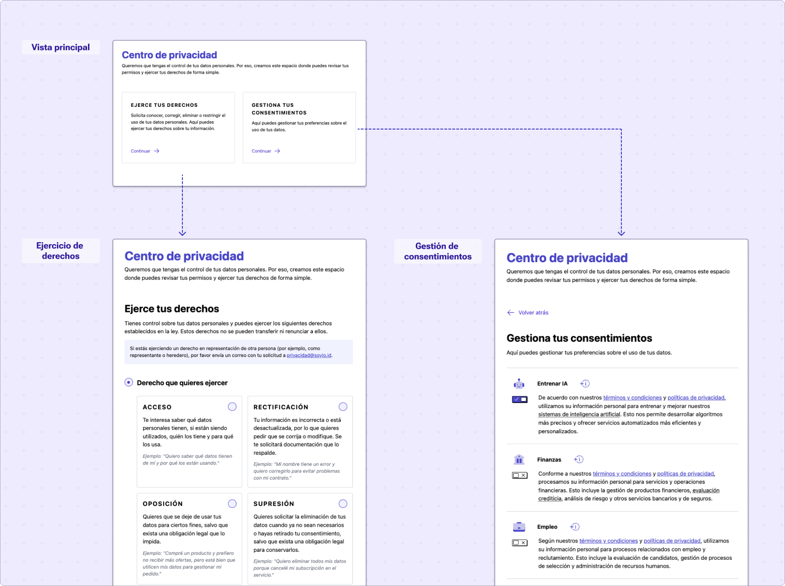 Privacy Manager example